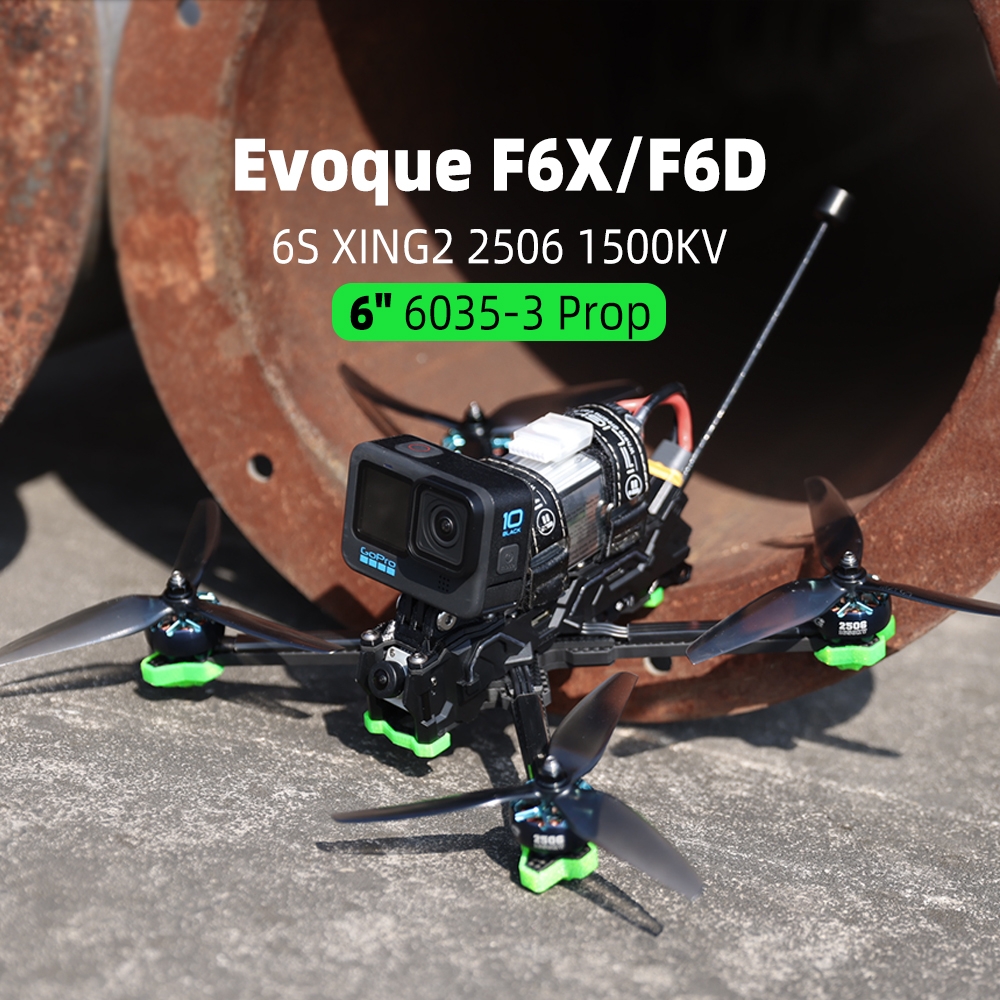 IFlight Nazgul5 Evoque F6D DeadCat Analog/HD 6 Inch 6S Aurora FPV Racing Drone BLITZ MINI F7 FC 55A ESC XING2 2506 1500KV Motor