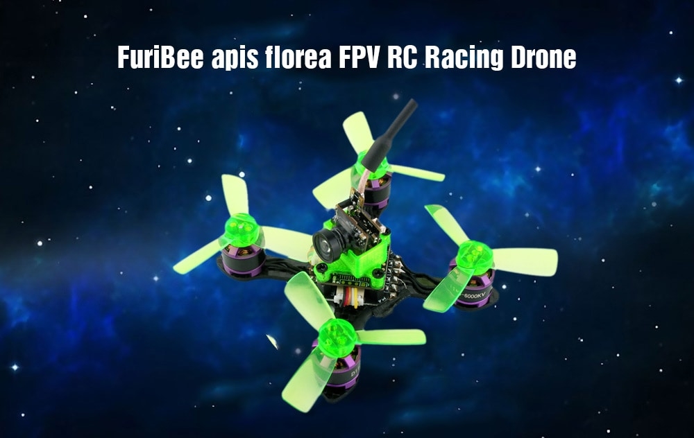 FuriBee apis florea 66mm Brushless RC Racing Drone KIT