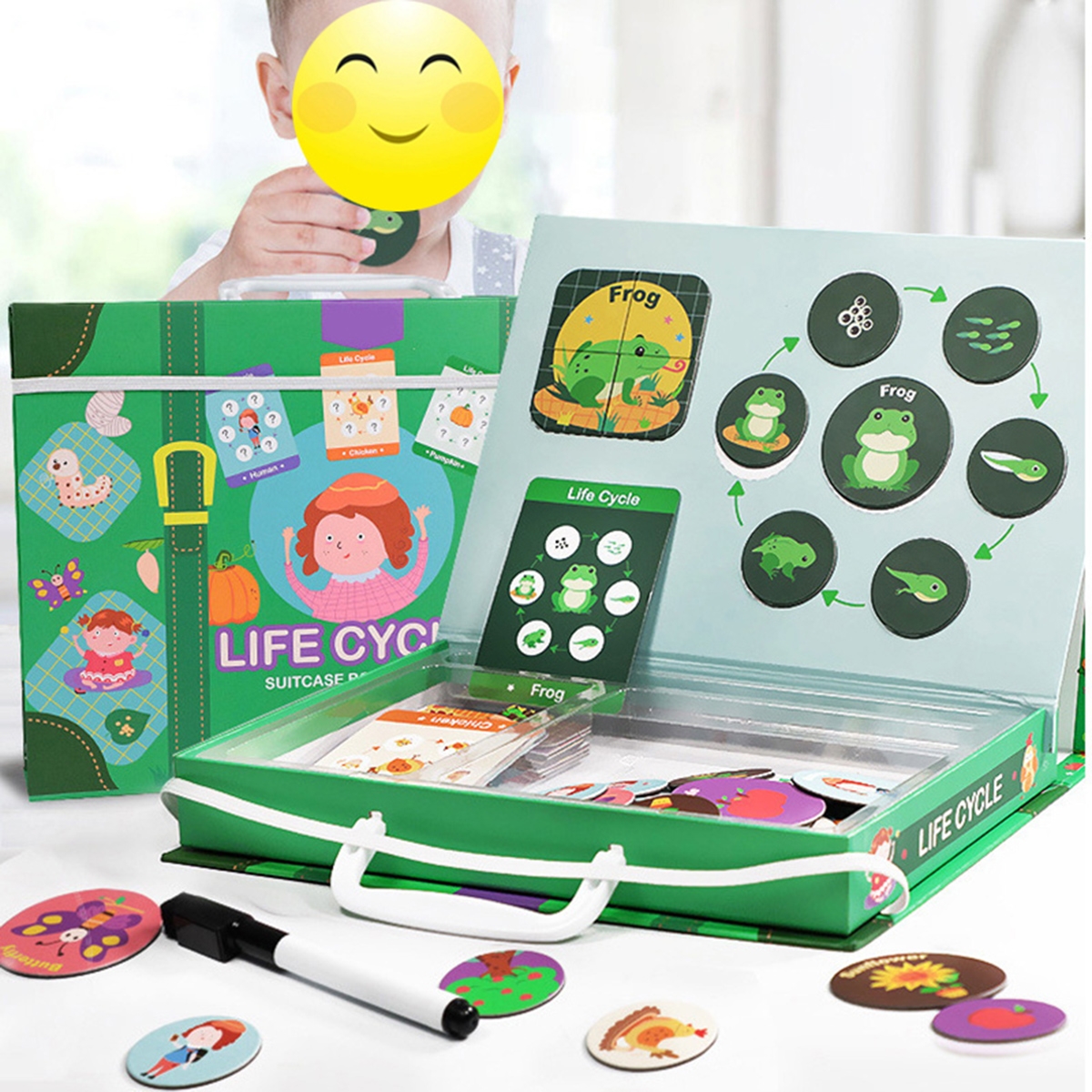 Magnetic Puzzle Leaning Life Cycle Animal Human Growth Educational Kids Toys for Kids Gift
