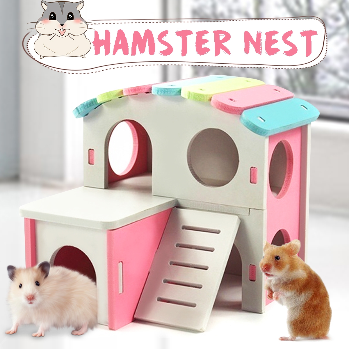 Hamster Golden Bear Bedroom Color Wooden House Big House