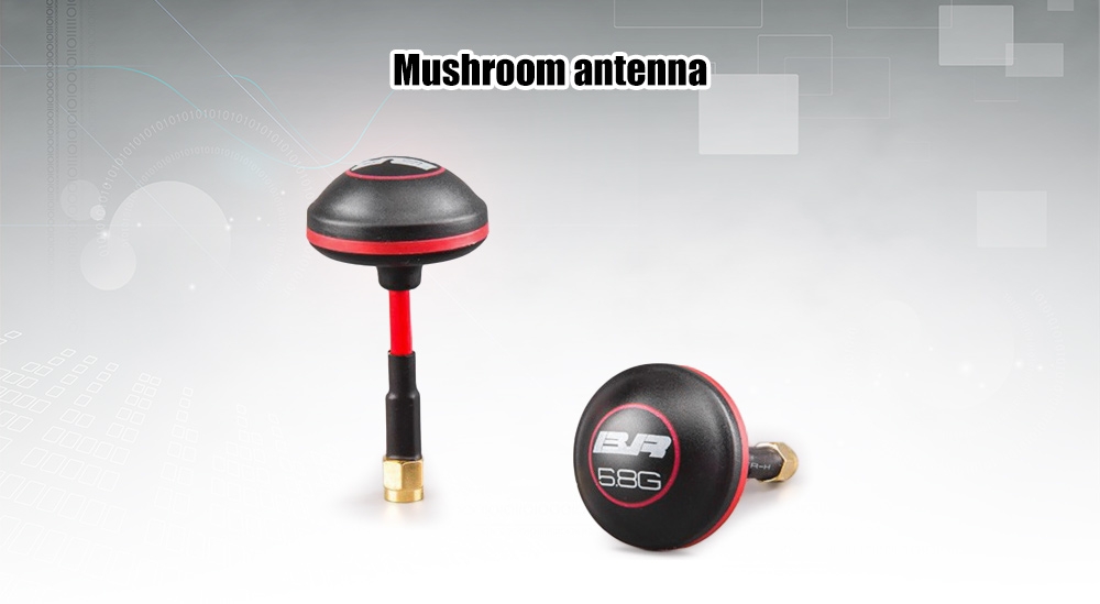 BEEROTOR 5.8GHz Mushroom RP-SMA Male Antenna