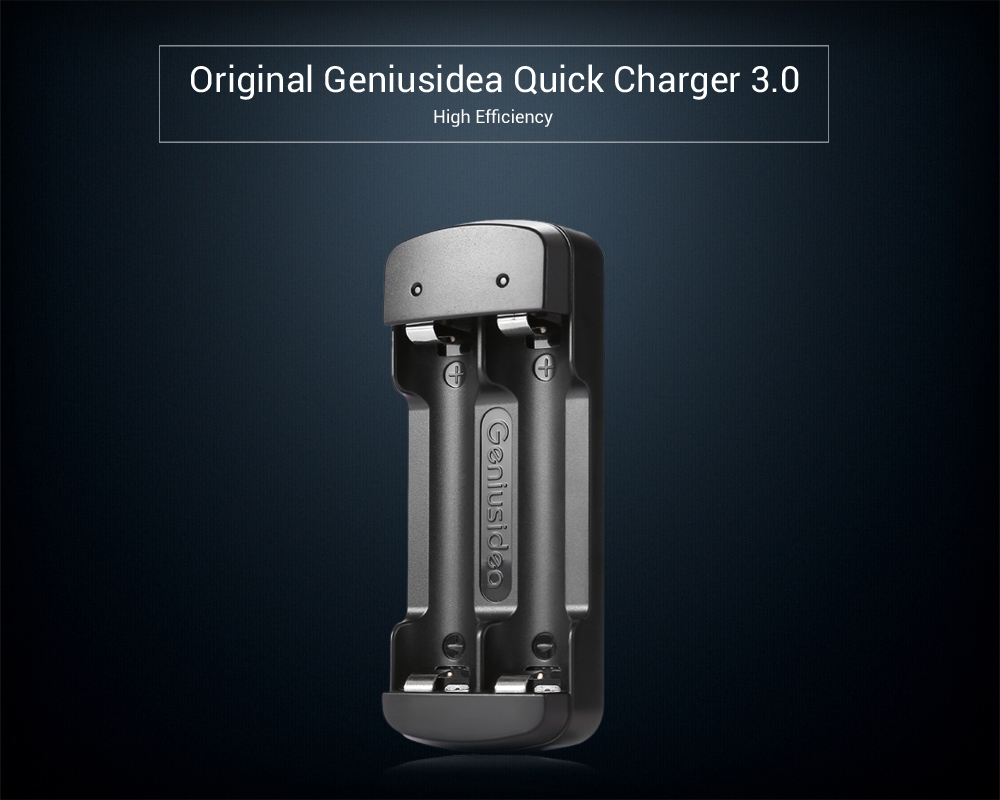 Original Geniusidea Quick Charger 3.0