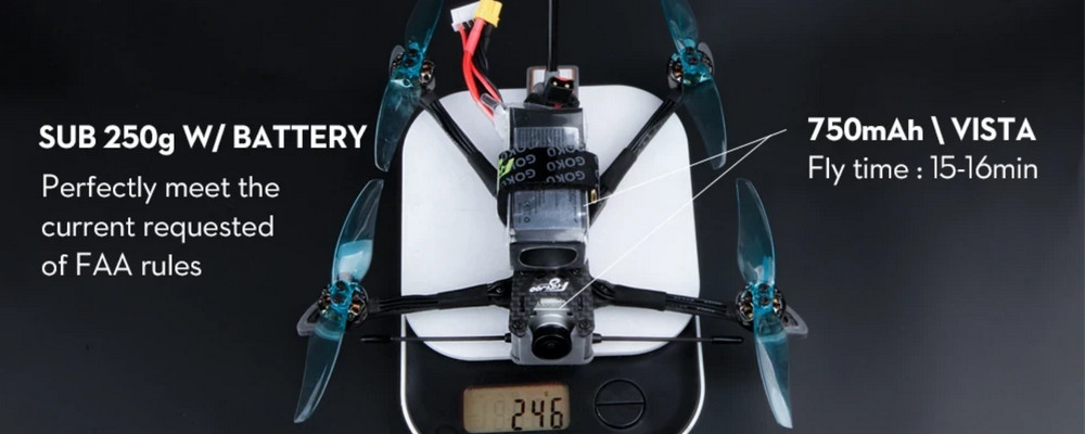 Sub 250gr Long range Flywoo Explorer LR HD 4'' 4S Micro Quadcopter